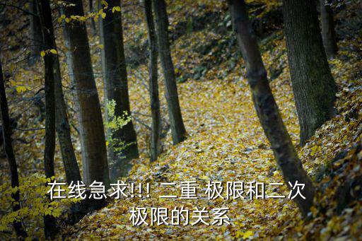 在線急求!!! 二重 極限和二次 極限的關(guān)系