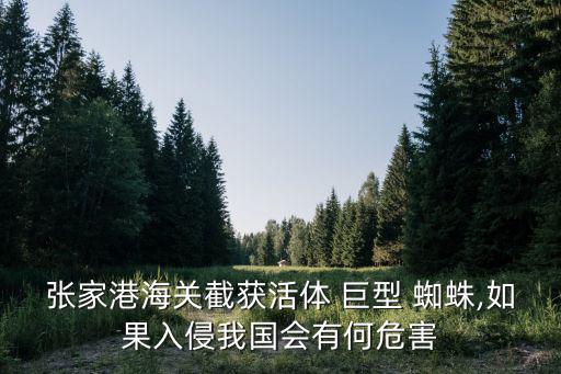 張家港海關截獲活體 巨型 蜘蛛,如果入侵我國會有何危害