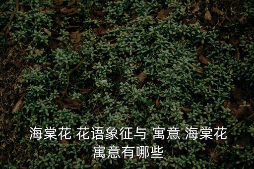 海棠花的花語和寓意,玉堂之所以香醇?