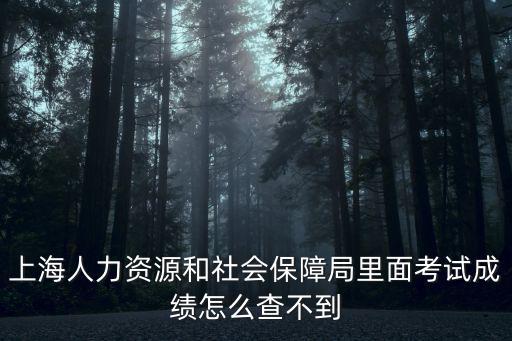 上海人力資源和社會保障局里面考試成績怎么查不到