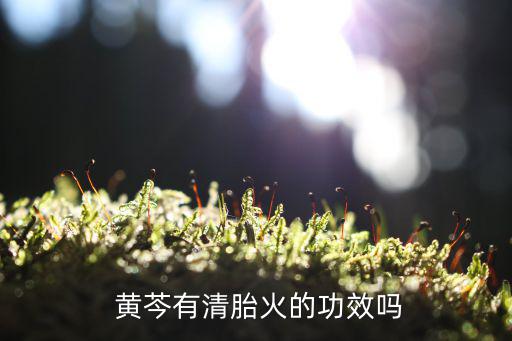 炒黃芩,三種炒法有何不同?