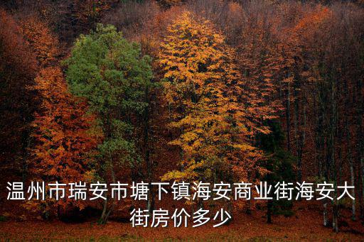 溫州市瑞安市塘下鎮(zhèn)海安商業(yè)街海安大街房價多少