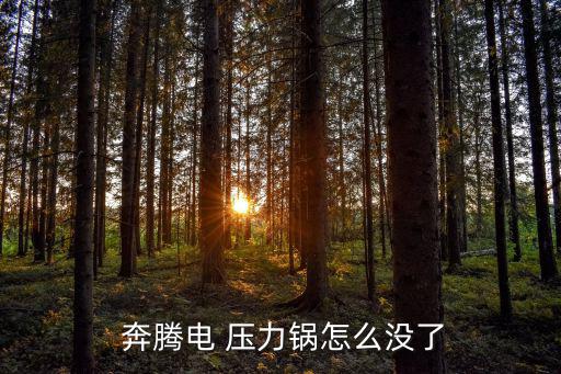 奔騰電壓力鍋,壓力鍋和電壓力灶具之爭的焦點