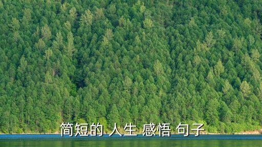 簡短人生感悟經典句子,人到中年才知道要改變自己