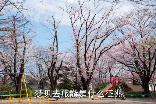 夢見去旅行,做夢也能改變人生!