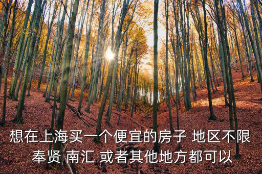 想在上海買一個便宜的房子 地區不限 奉賢 南匯 或者其他地方都可以