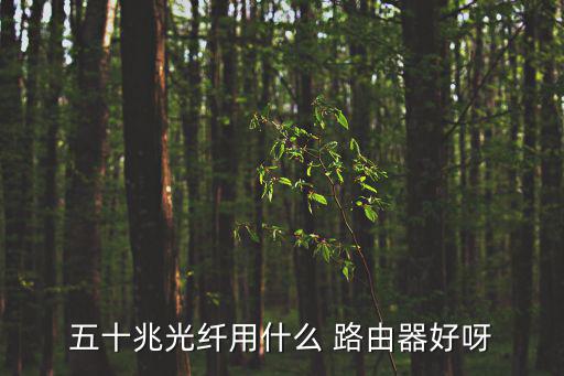 什么路由器好,十大品牌路由器排行榜出爐!