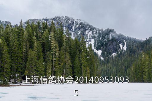 上海信鴿協會201409530935