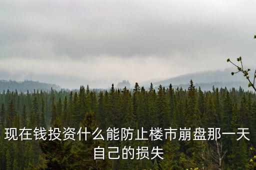現在錢投資什么能防止樓市崩盤那一天自己的損失