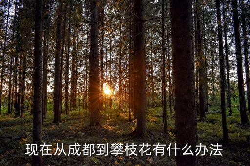 現在從成都到攀枝花有什么辦法