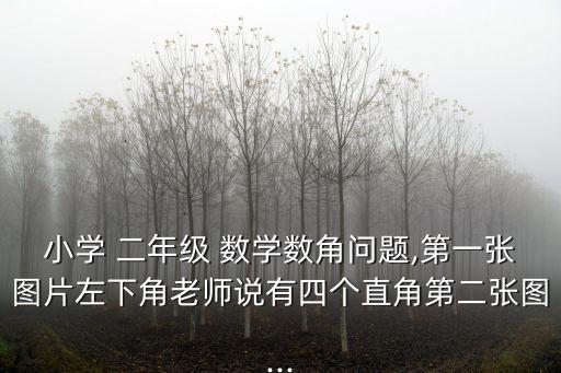 小學 二年級 數學數角問題,第一張圖片左下角老師說有四個直角第二張圖...