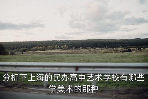 上海市私立藝術高中，路過的說說上海有好一點的私立的藝術高中嗎
