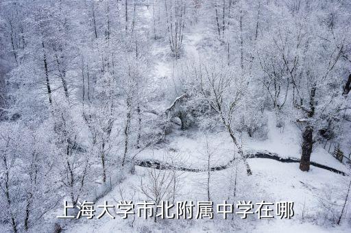 上海大學市北附屬中學在哪