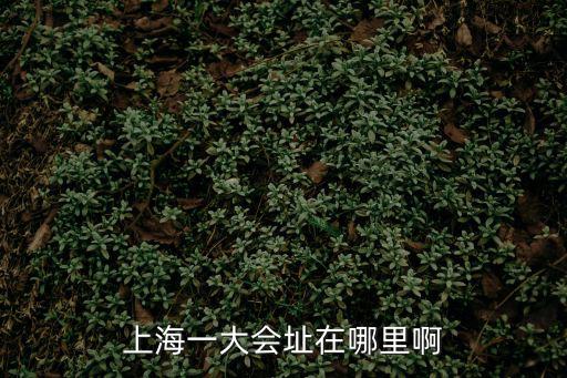 上海一大會址在哪里啊