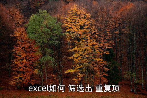  excel如何 篩選出 重復項