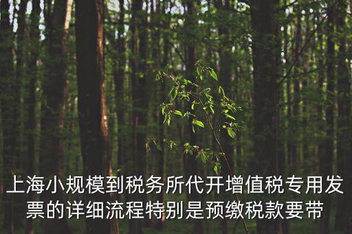 上海市稅務局充值發票，上海稅務局買發票 需要什么資料