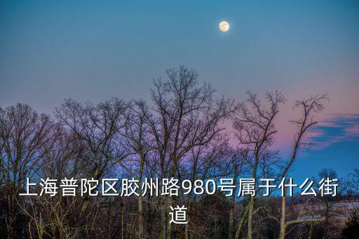 上海普陀區膠州路980號屬于什么街道