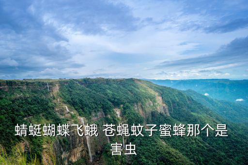 蜻蜓蝴蝶飛蛾 蒼蠅蚊子蜜蜂那個(gè)是 害蟲(chóng)