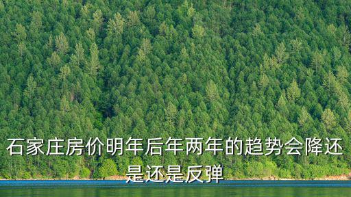 石家莊房價明年后年兩年的趨勢會降還是還是反彈