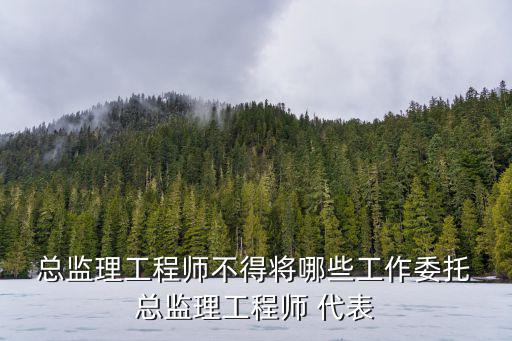 總監代表,項目監理三個首先必須是監理工程師