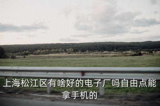上海市松江電機廠，上海松江區有啥好的電子廠嗎自由點能拿手機的