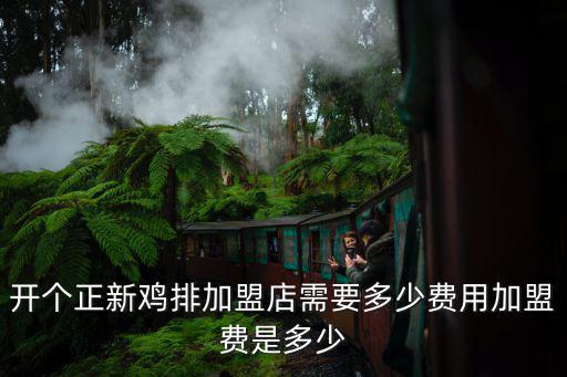 開個(gè)正新雞排加盟店需要多少費(fèi)用加盟費(fèi)是多少