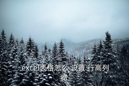  excel表格怎么 設置 行高列寬