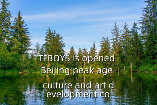 TFBOYS is opened Beijing peak age culture and art development co
