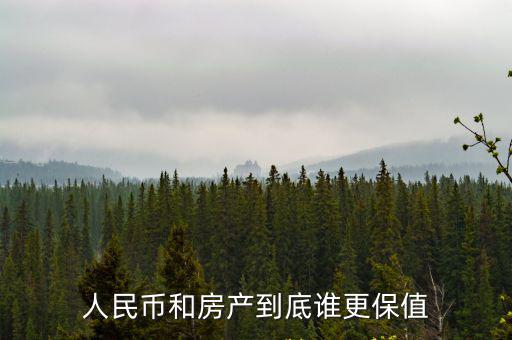 人民幣和房產到底誰更保值