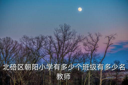 北碚區朝陽小學有多少個班級有多少名教師
