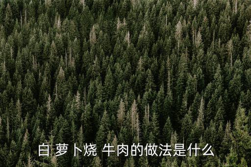 蘿卜燒牛肉的家常做法,白蘿卜燉牛肉1做法出爐!