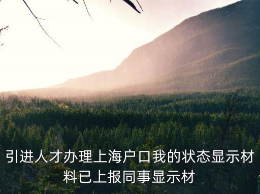 引進人才辦理上海戶口我的狀態顯示材料已上報同事顯示材