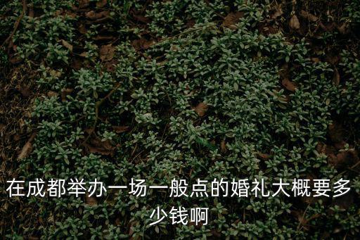 在成都舉辦一場一般點的婚禮大概要多少錢啊
