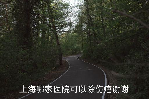 上海市祛除疤痕醫(yī)院，上海去疤整容醫(yī)院