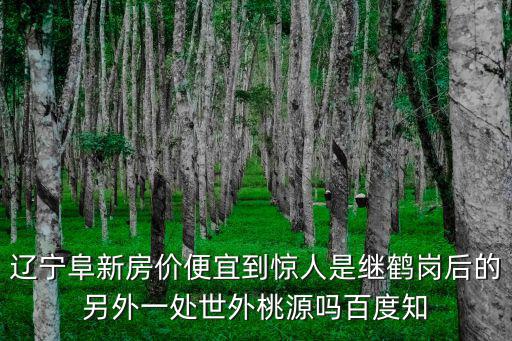遼寧阜新房價便宜到驚人是繼鶴崗后的另外一處世外桃源嗎百度知