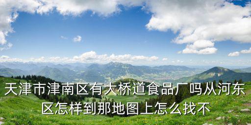 天津市津南區有大橋道食品廠嗎從河東區怎樣到那地圖上怎么找不
