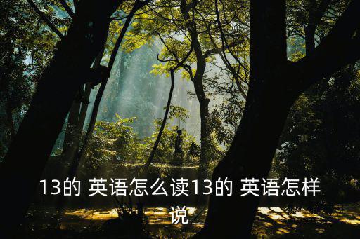英語13,英國三十歲英國留學生如何翻譯