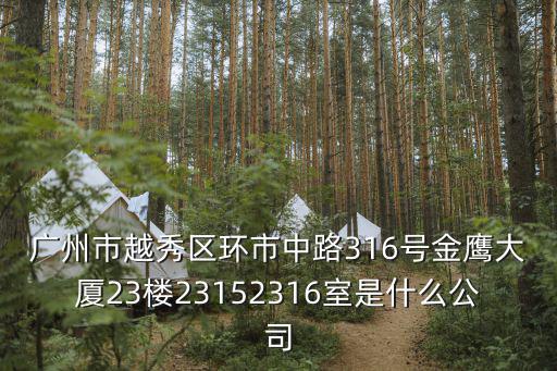 廣州市越秀區環市中路316號金鷹大廈23樓23152316室是什么公司