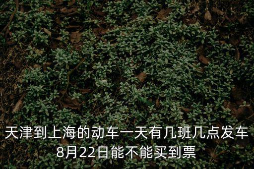 天津到上海的動車一天有幾班幾點發車8月22日能不能買到票