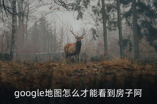 google地圖怎么才能看到房子阿