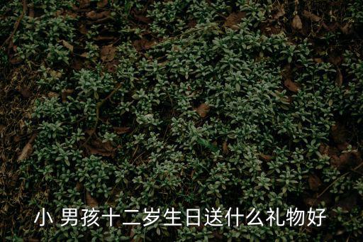 小 男孩十二歲生日送什么禮物好