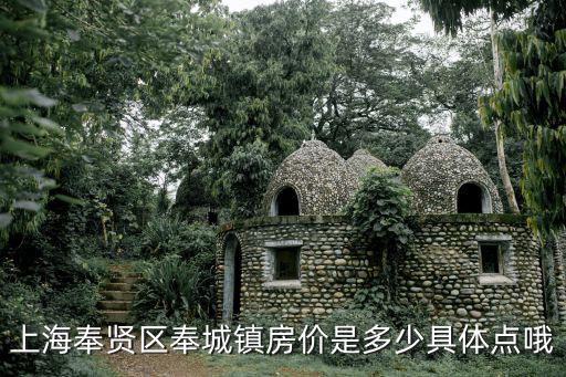 上海奉賢區奉城鎮房價是多少具體點哦