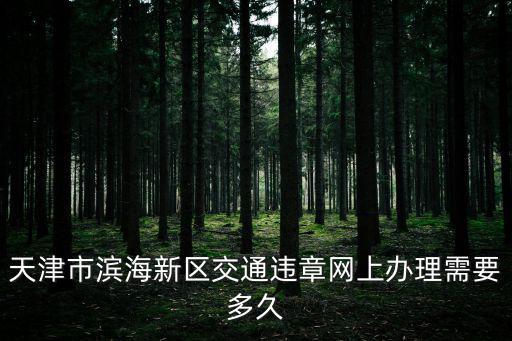 天津市濱海新區交通違章網上辦理需要多久
