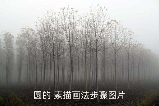 素描畫圖片大全,素描紙上的十字彎教你如何畫圓
