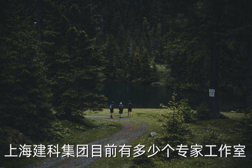 上海市建科集團，上海建科集團目前有多少個專家工作室
