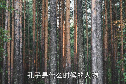 孔丘是誰(shuí),孔子73歲去世被葬在曲阜北部泗水
