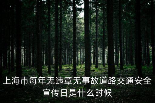 上海市交通局劉斌，上海市每年無違章無事故道路交通安全宣傳日是什么時候