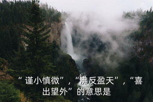 謹小慎微什么意思,謹小慎微的中文解釋