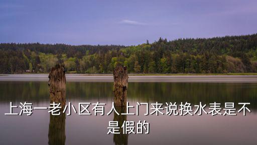 上海一老小區有人上門來說換水表是不是假的