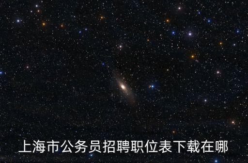 上海市公務員招聘職位表下載在哪